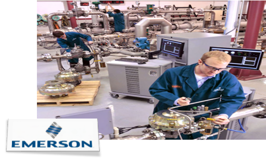 Capacitacion Externa EMERSON - ABM